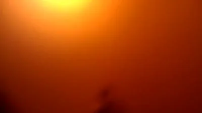 Llegó temprano a casa